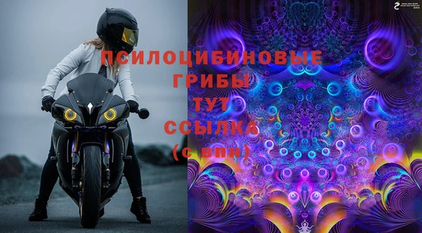 эйфоретик Зерноград