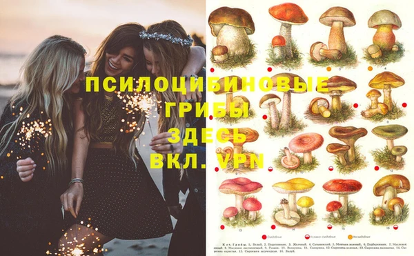 эйфоретик Зерноград