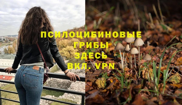 твердый Зеленокумск
