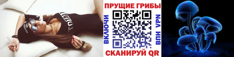 Псилоцибиновые грибы мухоморы  Купить  Лаишево 